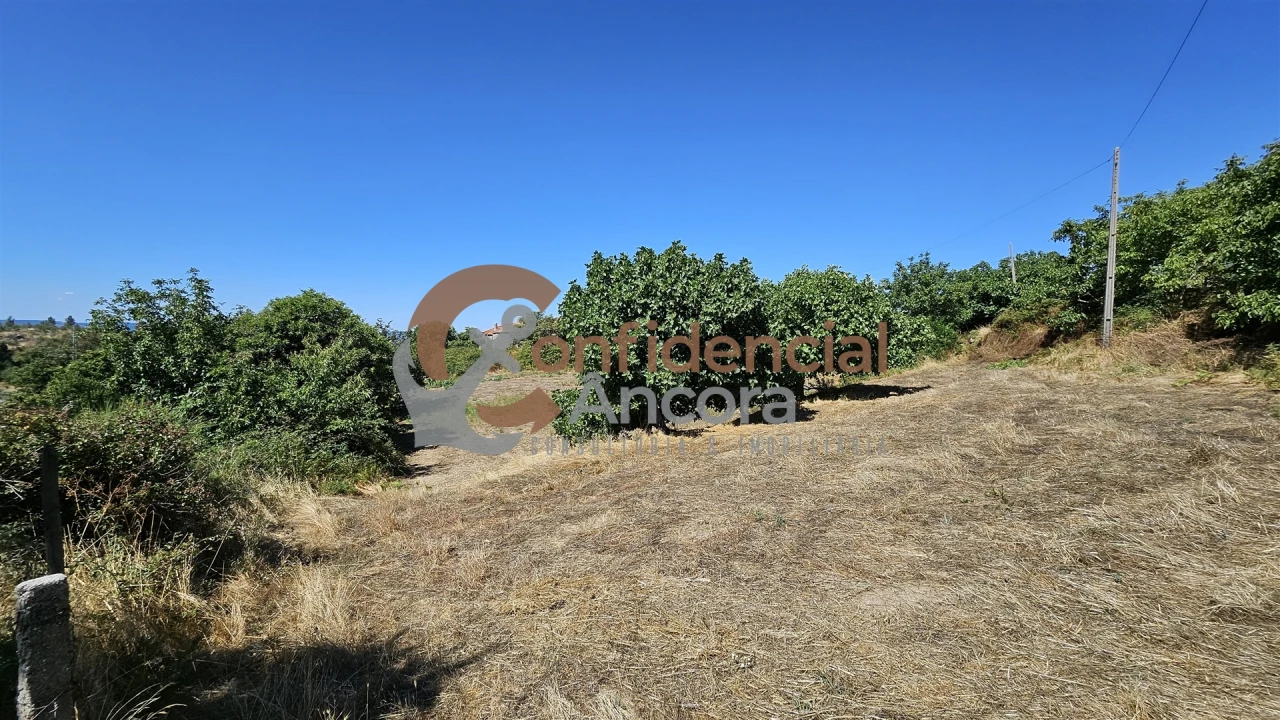 Quinta T0 para Venda em Melo e Nabais Foto 37