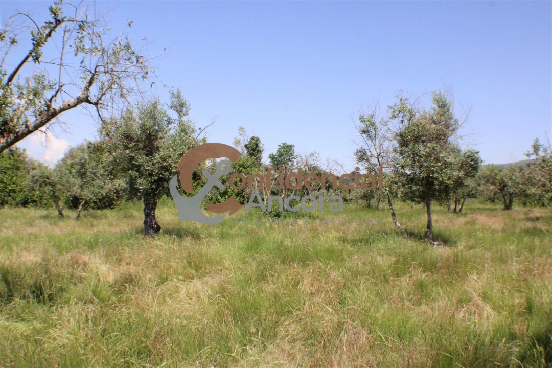 Quinta T0 para Venda em Moimenta da Serra e Vinhó Foto 12