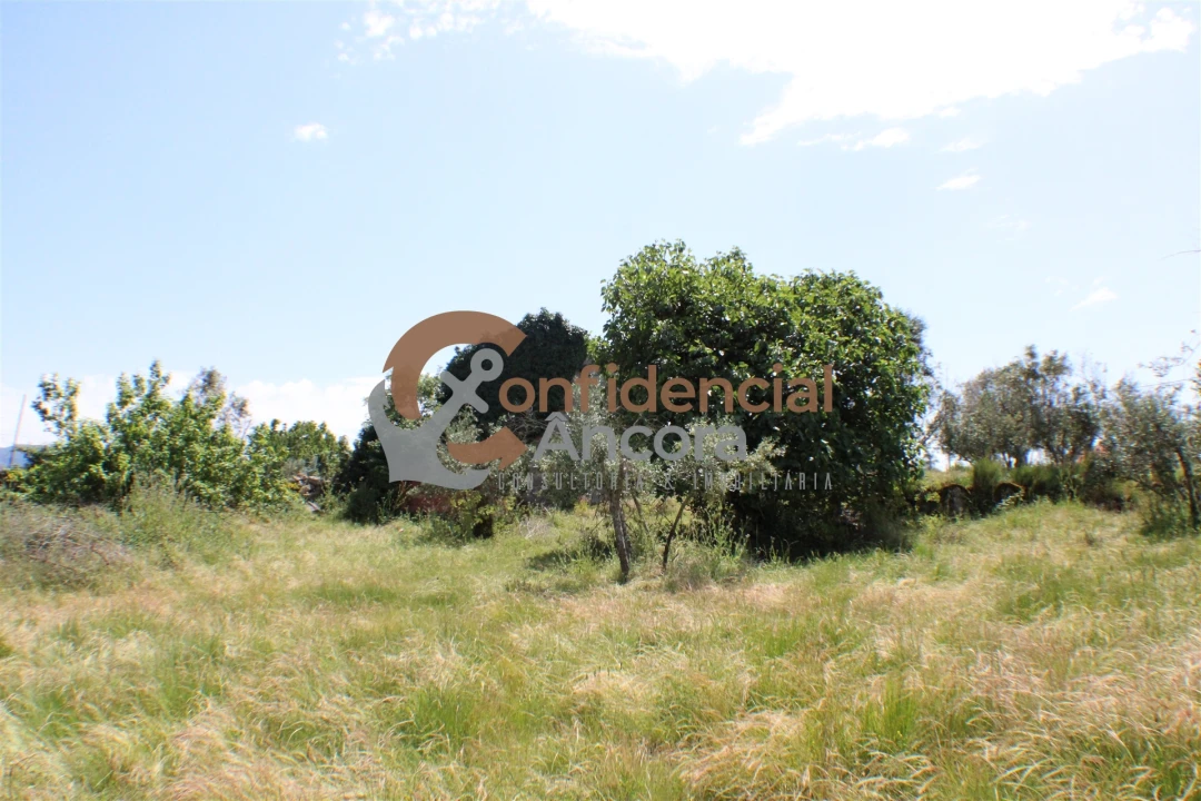 Quinta T0 para Venda em Moimenta da Serra e Vinhó Foto 11