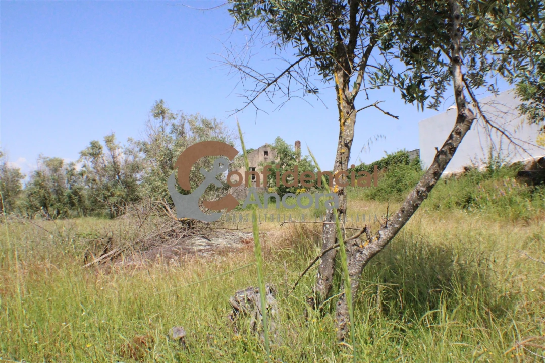 Quinta T0 para Venda em Moimenta da Serra e Vinhó Foto 21