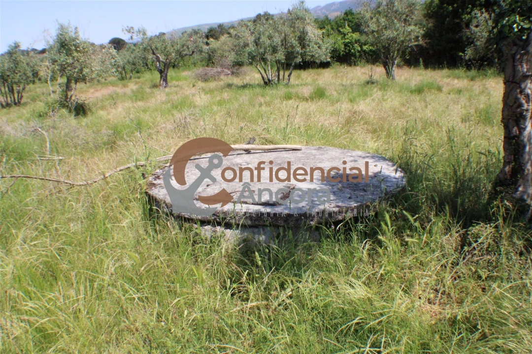 Quinta T0 para Venda em Moimenta da Serra e Vinhó Foto 19