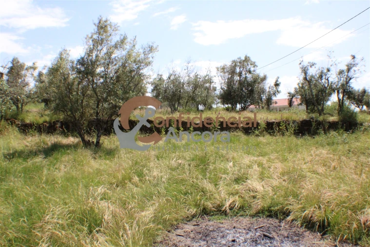 Quinta T0 para Venda em Moimenta da Serra e Vinhó Foto 18