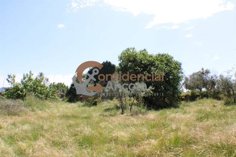 Quinta T0 para Venda em Moimenta da Serra e Vinhó Foto 11