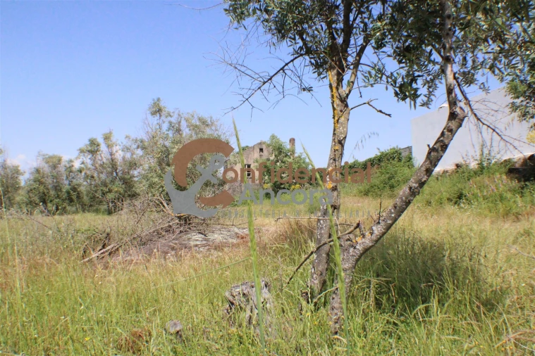 Quinta T0 para Venda em Moimenta da Serra e Vinhó Foto 21
