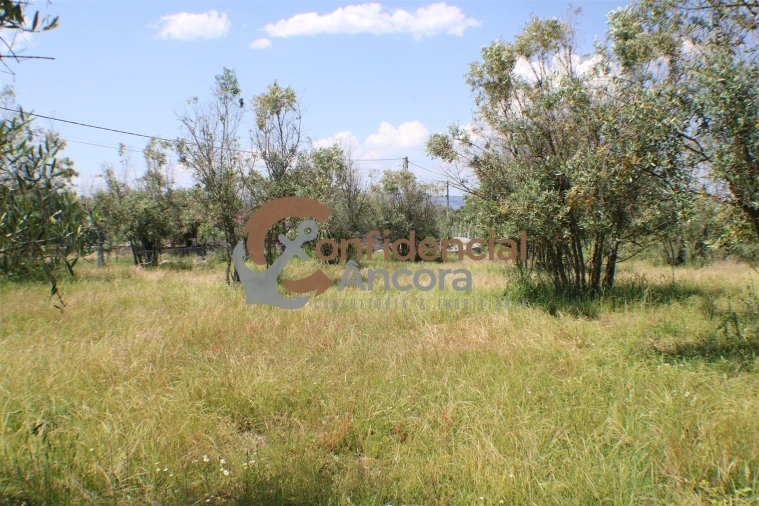 Quinta T0 para Venda em Moimenta da Serra e Vinhó Foto 6