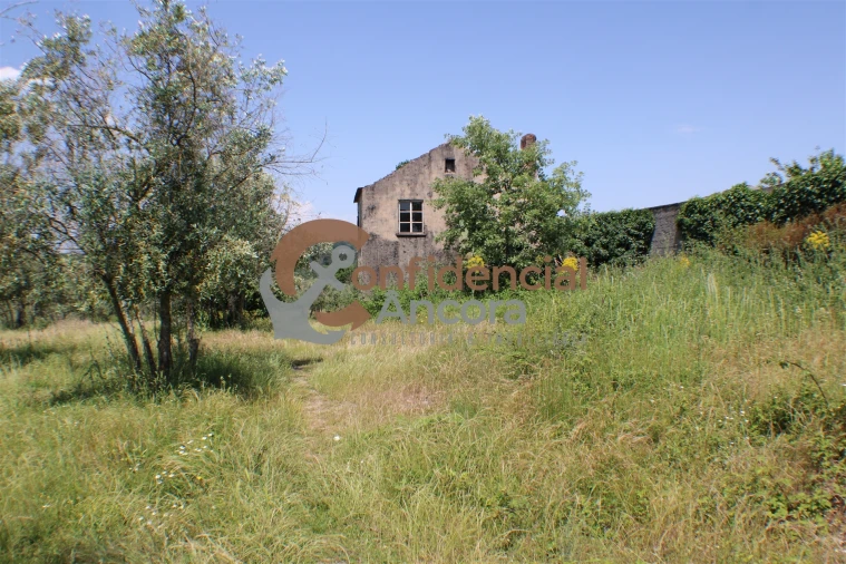 Quinta T0 para Venda em Moimenta da Serra e Vinhó Foto 5