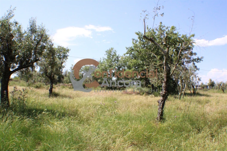 Quinta T0 para Venda em Moimenta da Serra e Vinhó Foto 15