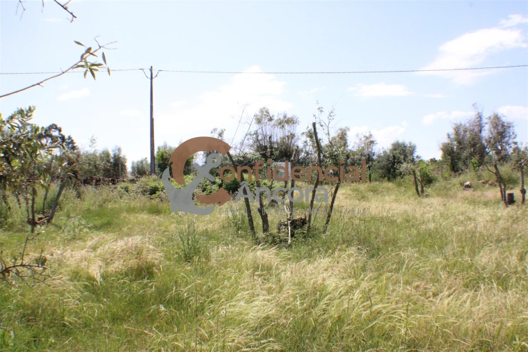 Quinta T0 para Venda em Moimenta da Serra e Vinhó Foto 14