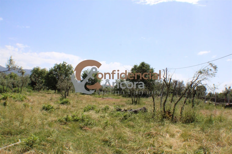 Quinta T0 para Venda em Moimenta da Serra e Vinhó Foto 16