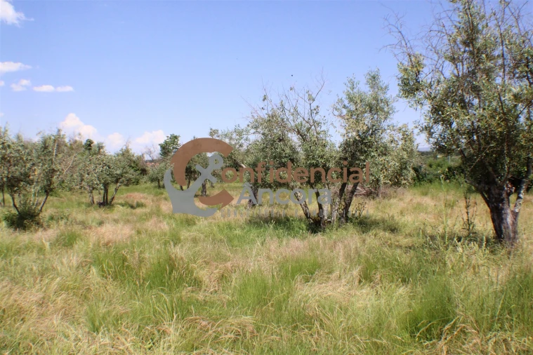 Quinta T0 para Venda em Moimenta da Serra e Vinhó Foto 10