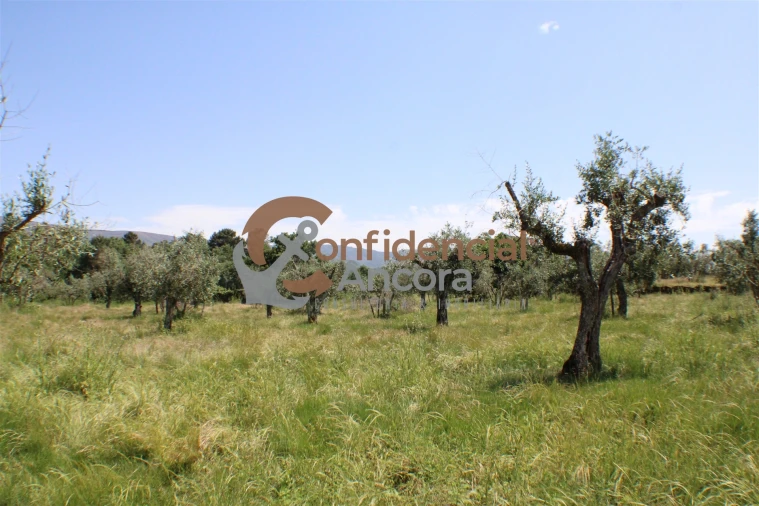 Quinta T0 para Venda em Moimenta da Serra e Vinhó Foto 13