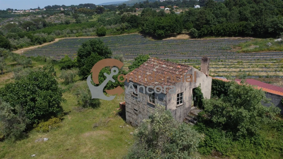 Quinta T0 para Venda em Moimenta da Serra e Vinhó Foto 3