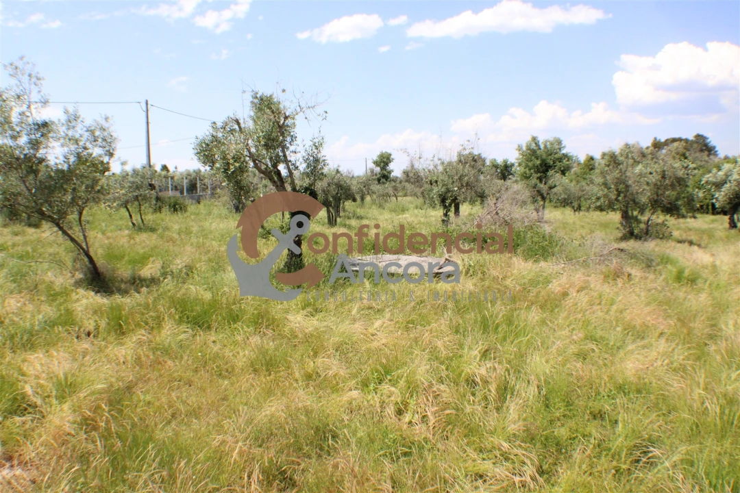 Quinta T0 para Venda em Moimenta da Serra e Vinhó Foto 9