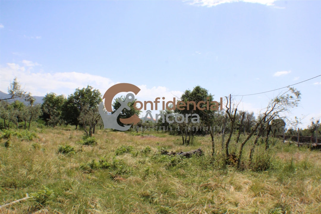 Quinta T0 para Venda em Moimenta da Serra e Vinhó Foto 16