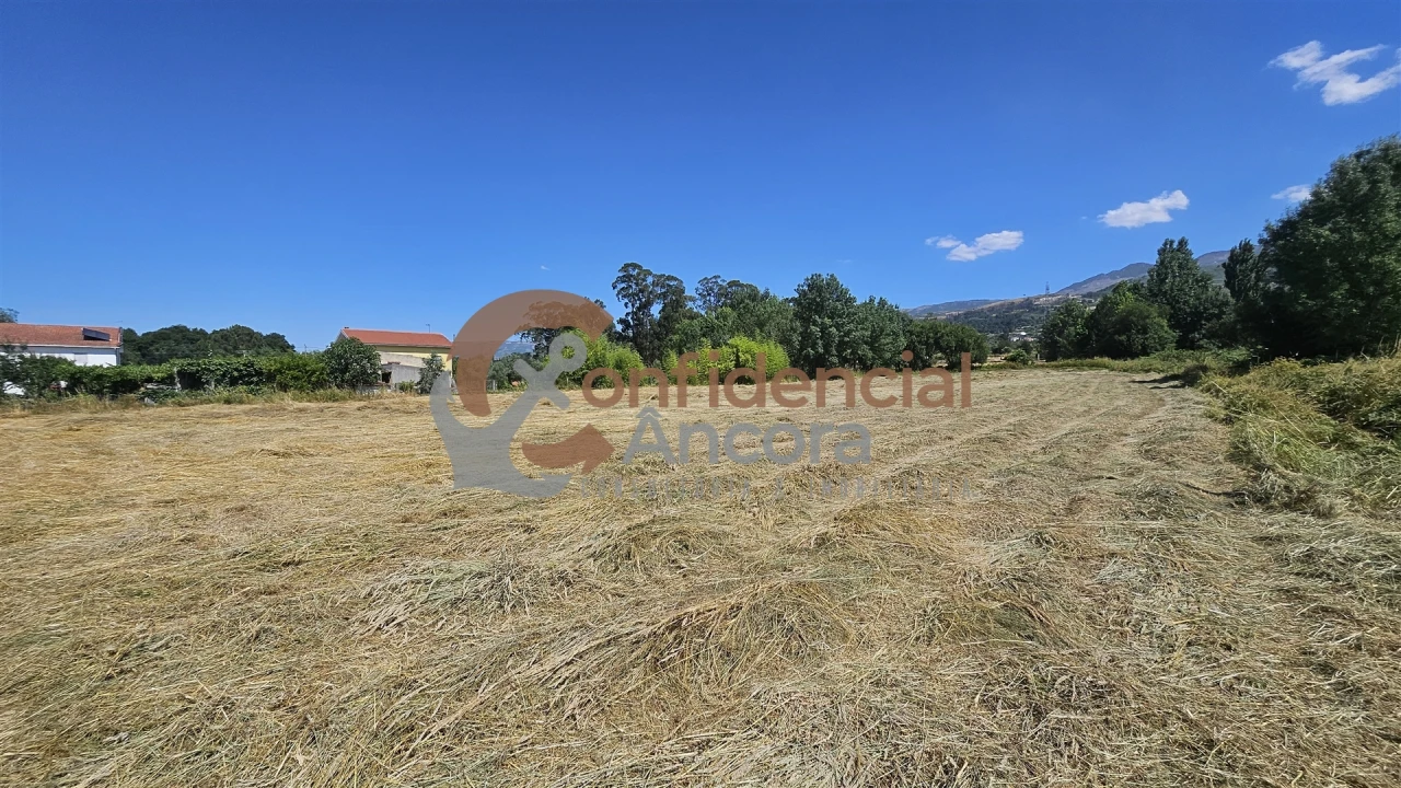Terreno Agricola ou Rústico para Venda em Melo e Nabais Foto 3