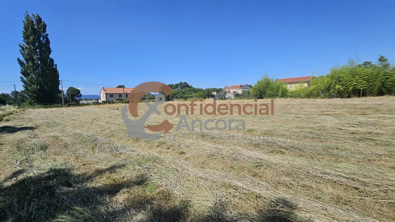 Terreno Agricola ou Rústico para Venda em Melo e Nabais Foto 4