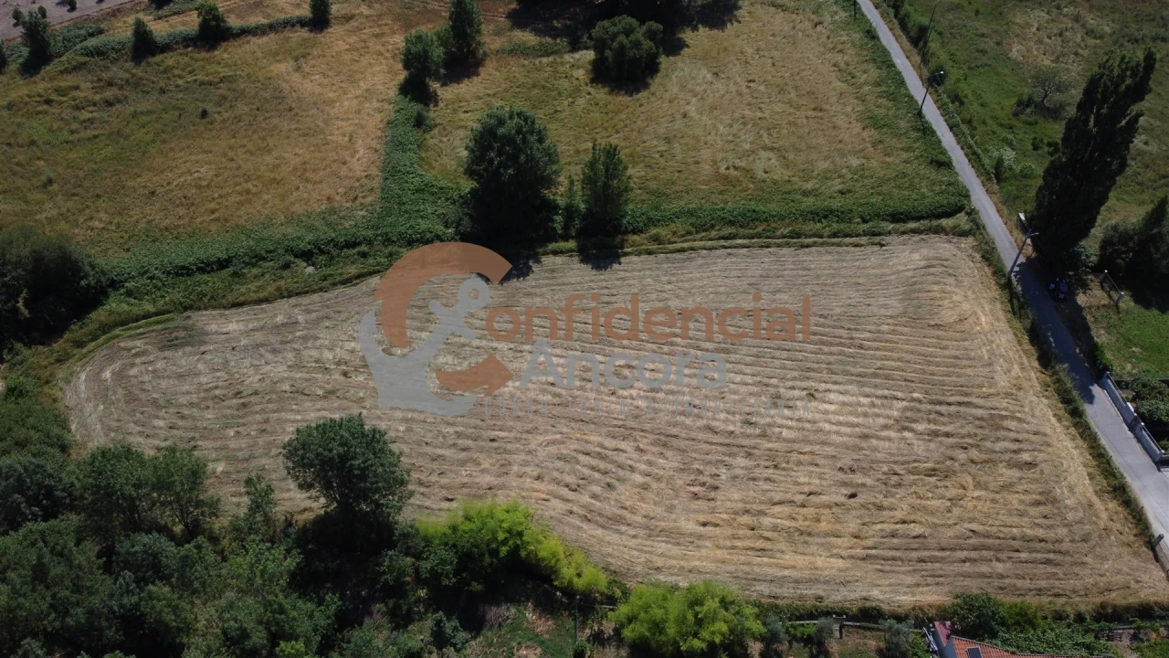 Terreno Agricola ou Rústico para Venda em Melo e Nabais Foto 9