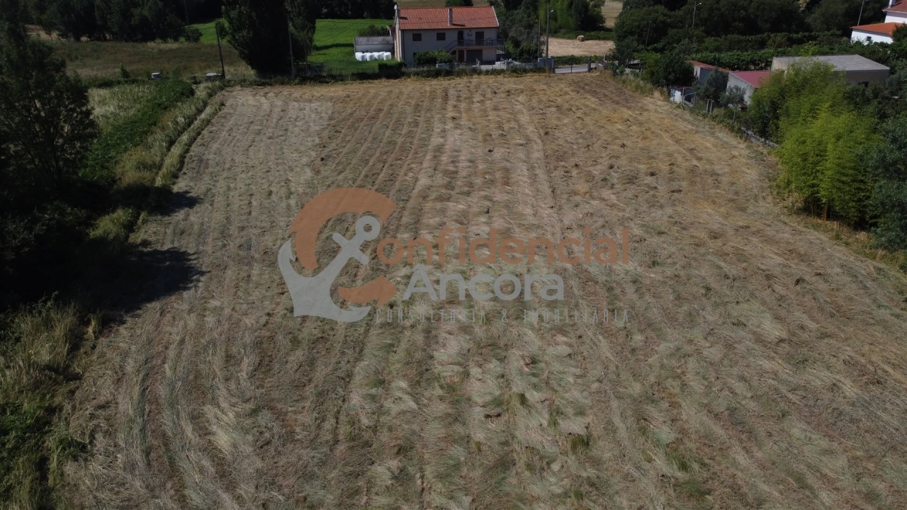 Terreno Agricola ou Rústico para Venda em Melo e Nabais Foto 13