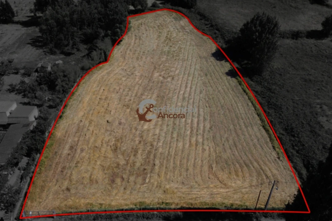 Terreno Agricola ou Rústico para Venda em Melo e Nabais Foto 14