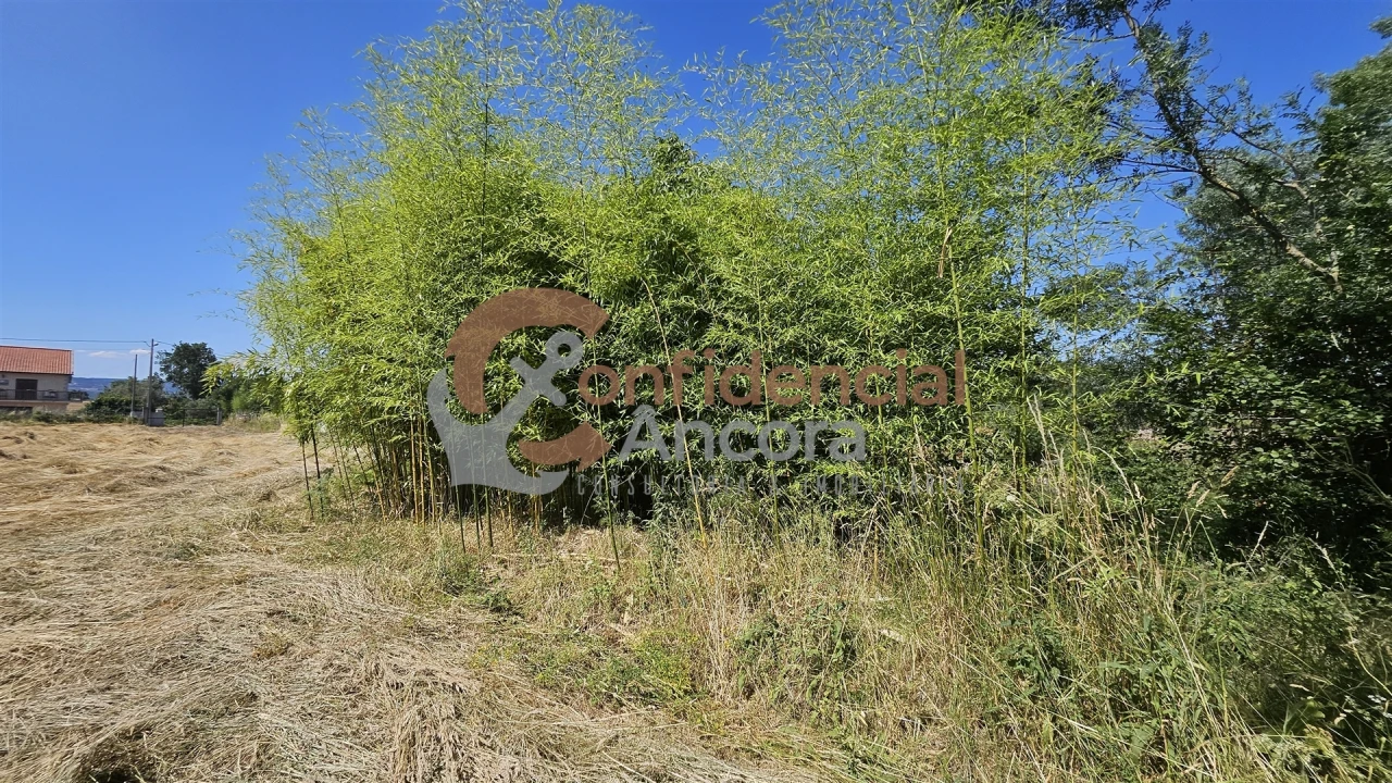 Terreno Agricola ou Rústico para Venda em Melo e Nabais Foto 7