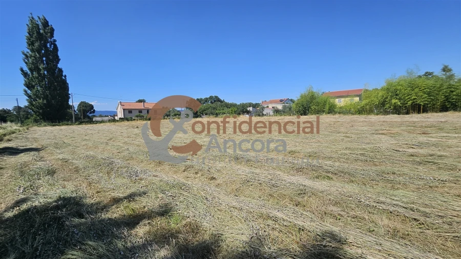 Terreno Agricola ou Rústico para Venda em Melo e Nabais Foto 4