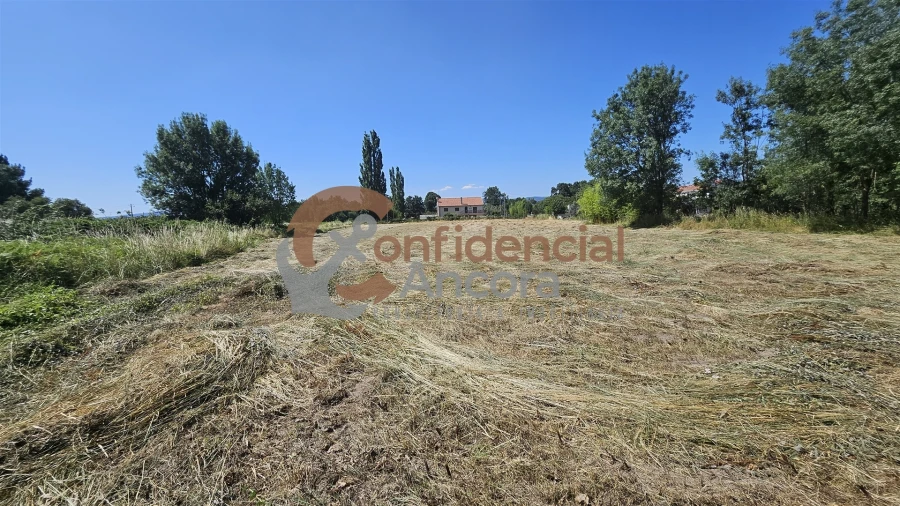 Terreno Agricola ou Rústico para Venda em Melo e Nabais Foto 5