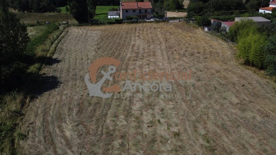 Terreno Agricola ou Rústico para Venda em Melo e Nabais Foto 13