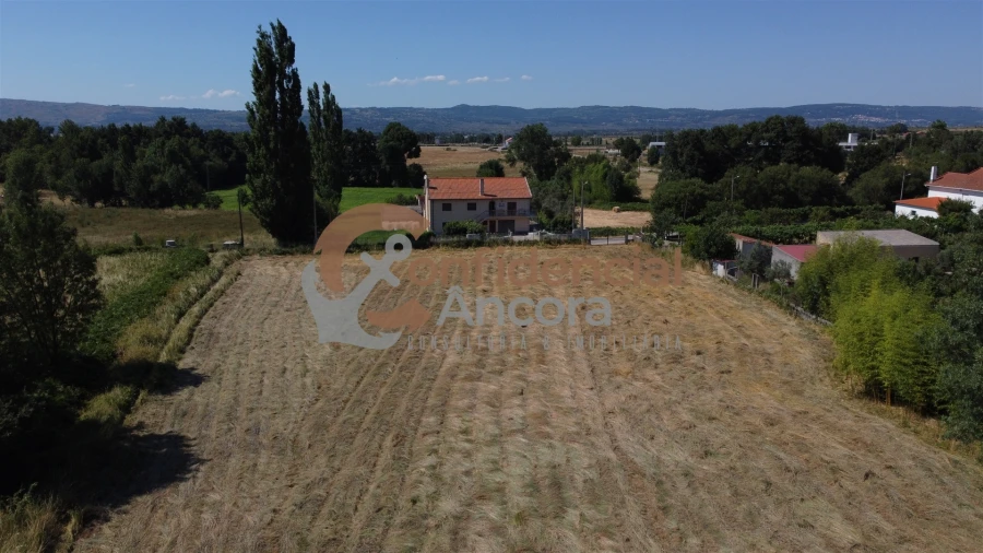 Terreno Agricola ou Rústico para Venda em Melo e Nabais Foto 12