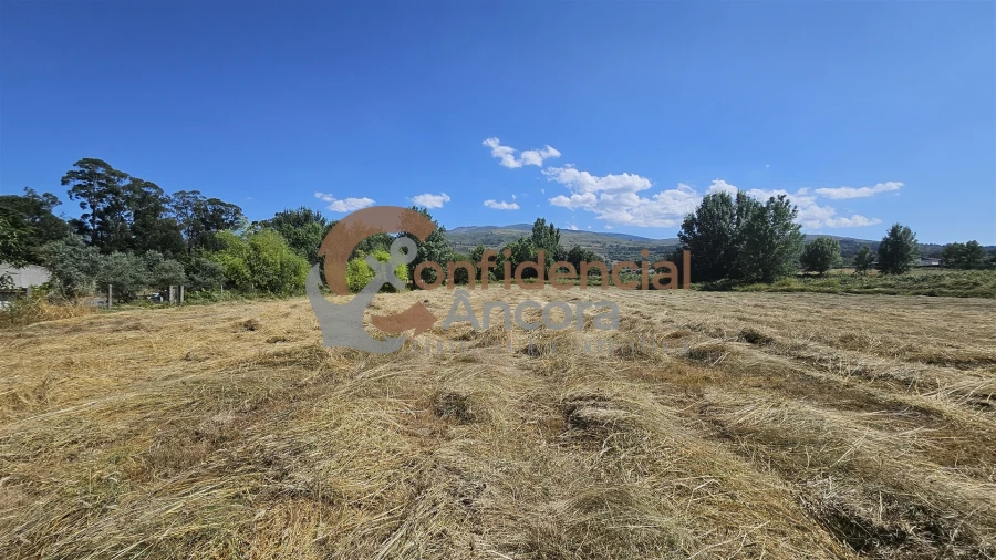 Terreno Agricola ou Rústico para Venda em Melo e Nabais Foto 2