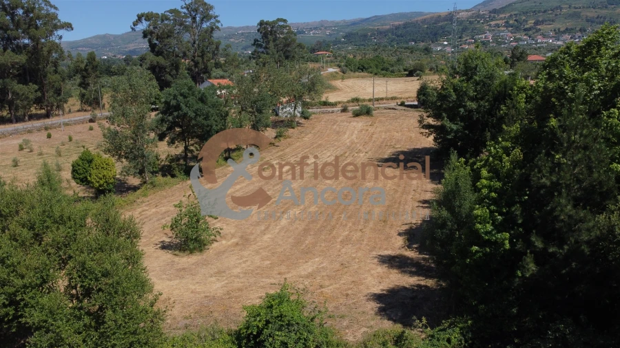 Terreno Agricola ou Rústico para Venda em Melo e Nabais Foto 11