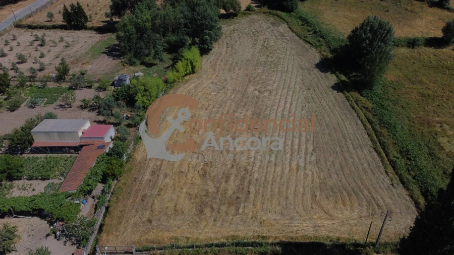 Terreno Agricola ou Rústico para Venda em Melo e Nabais Foto 8