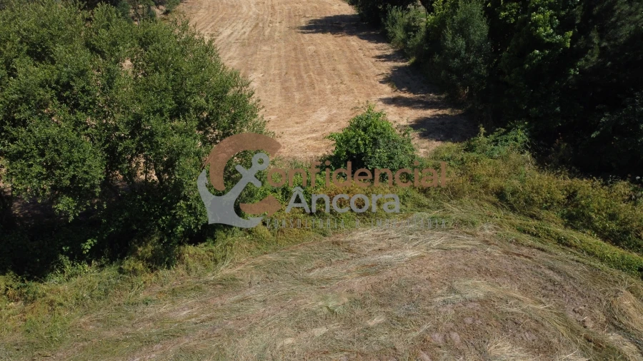 Terreno Agricola ou Rústico para Venda em Melo e Nabais Foto 10