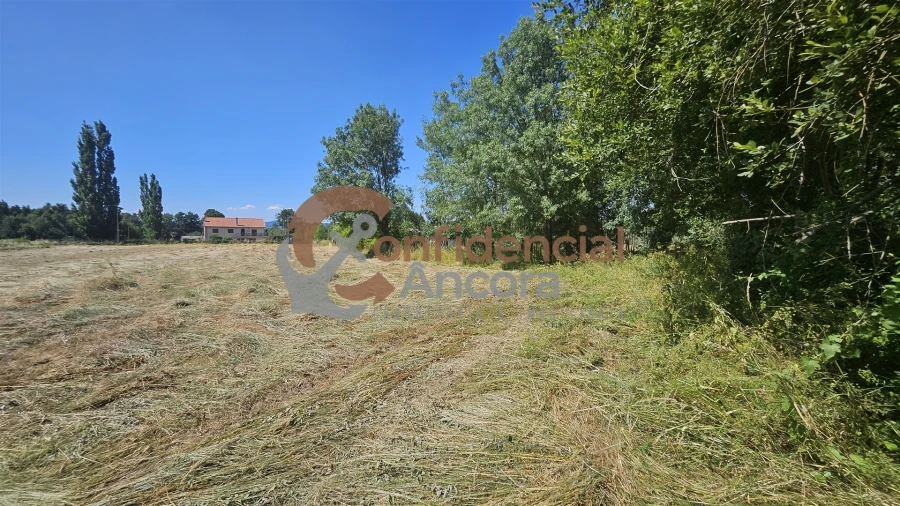 Terreno Agricola ou Rústico para Venda em Melo e Nabais Foto 6