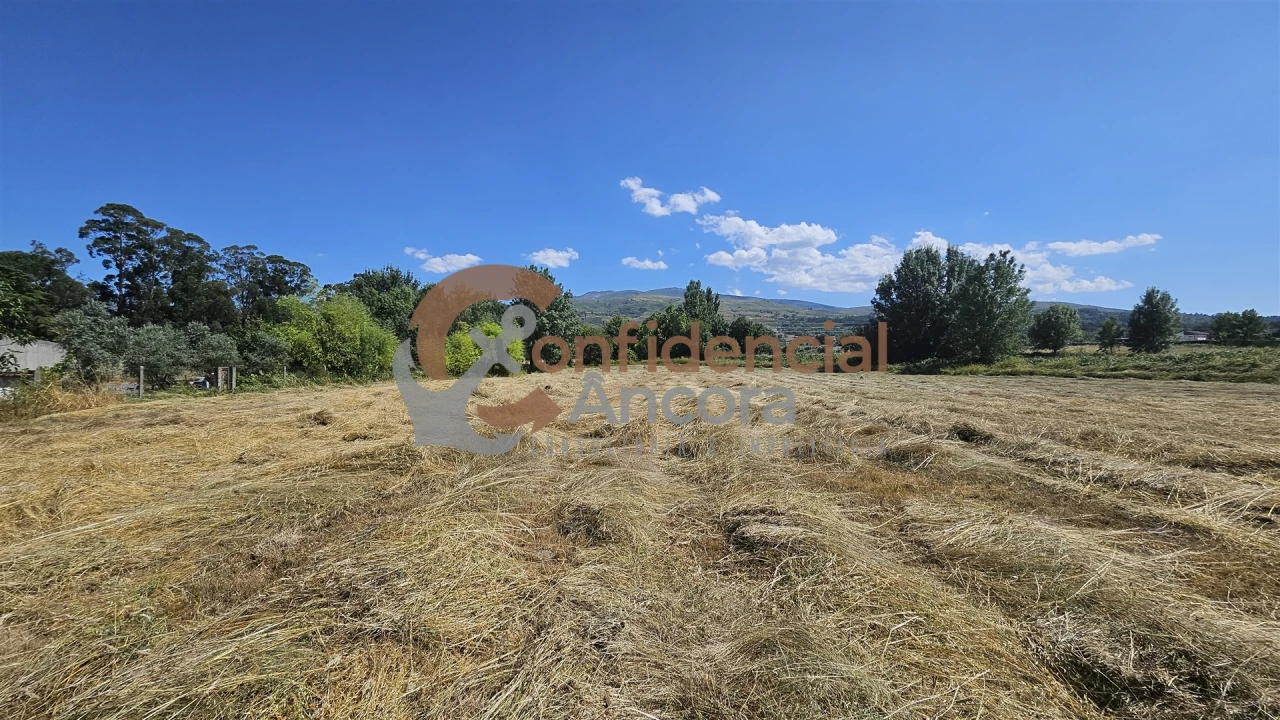 Terreno Agricola ou Rústico para Venda em Melo e Nabais Foto 2