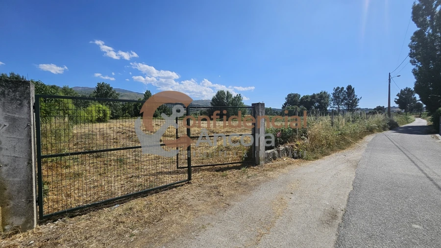 Terreno Agricola ou Rústico para Venda em Melo e Nabais