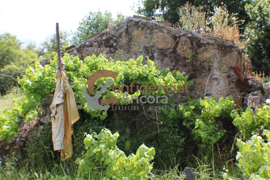 Terreno para Venda em Moimenta da Serra e Vinhó Foto 8