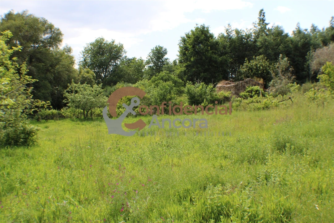 Terreno para Venda em Moimenta da Serra e Vinhó Foto 1