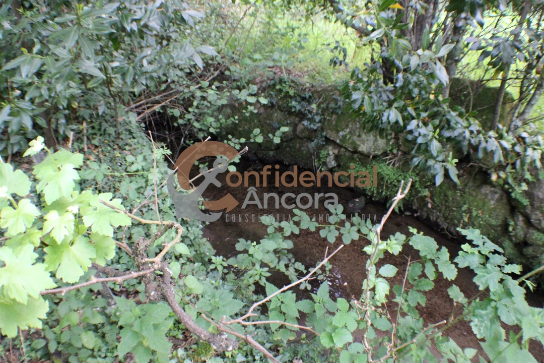 Terreno para Venda em Moimenta da Serra e Vinhó Foto 18