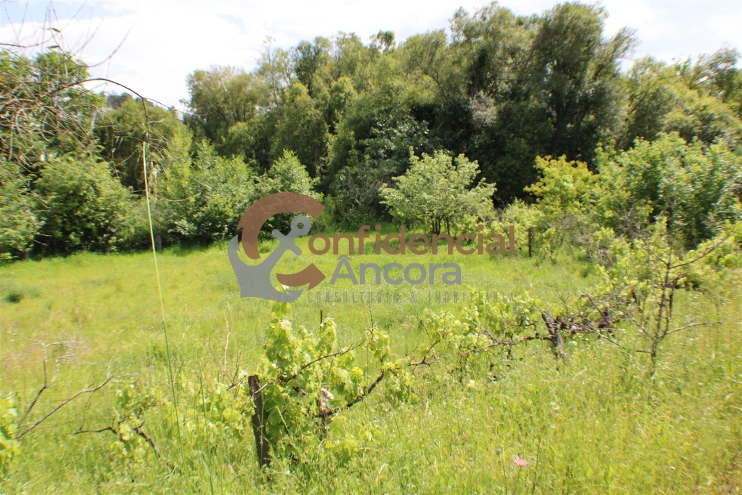 Terreno para Venda em Moimenta da Serra e Vinhó Foto 11