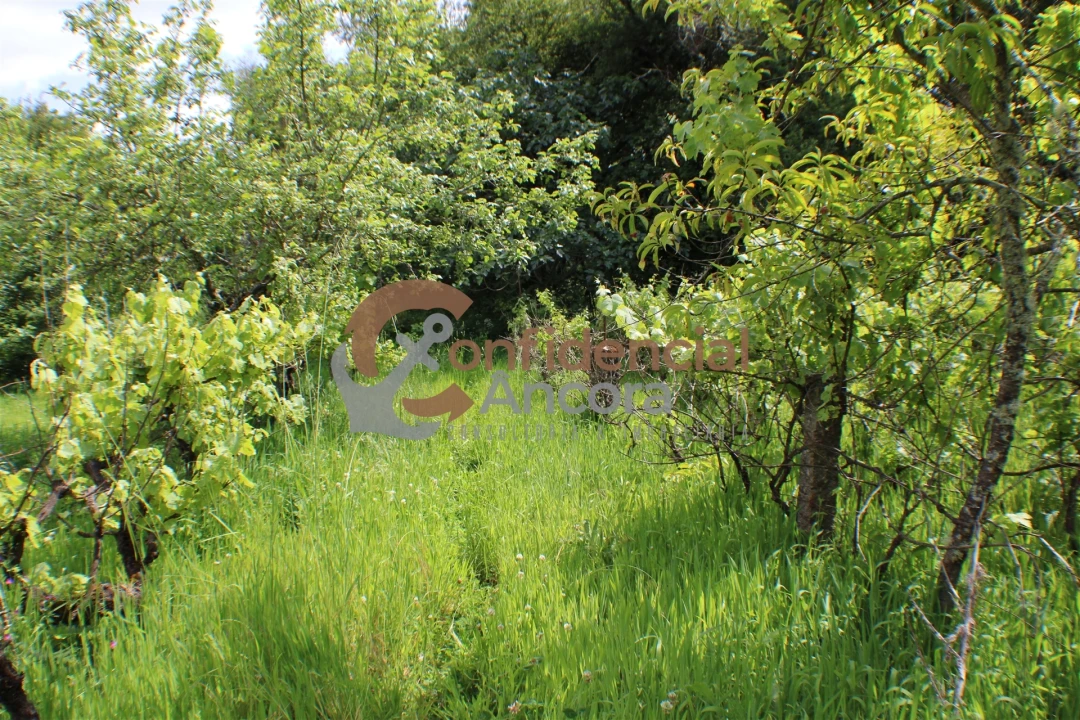 Terreno para Venda em Moimenta da Serra e Vinhó Foto 5