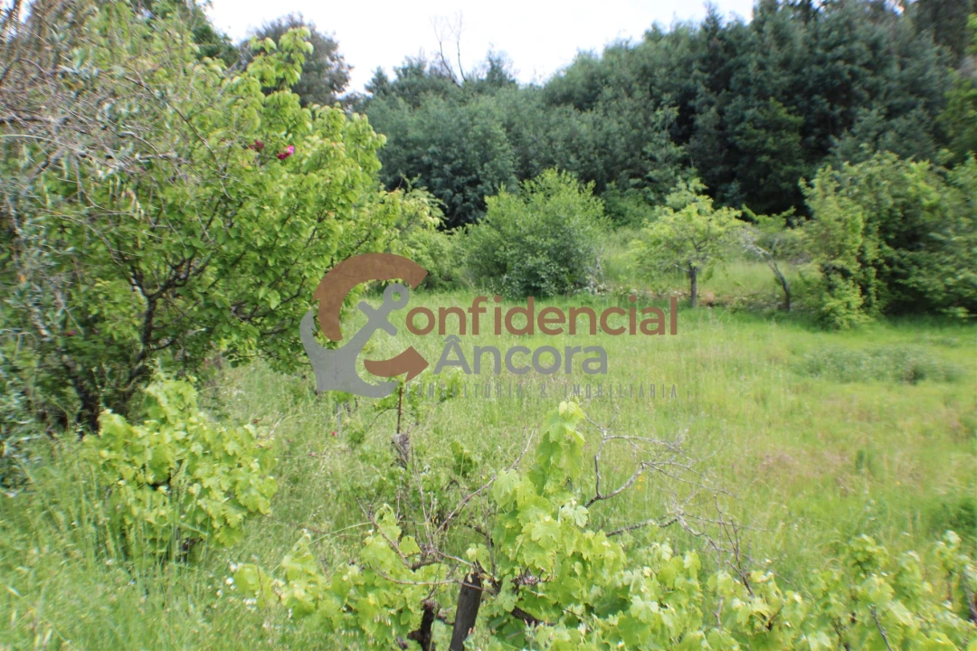 Terreno para Venda em Moimenta da Serra e Vinhó Foto 15