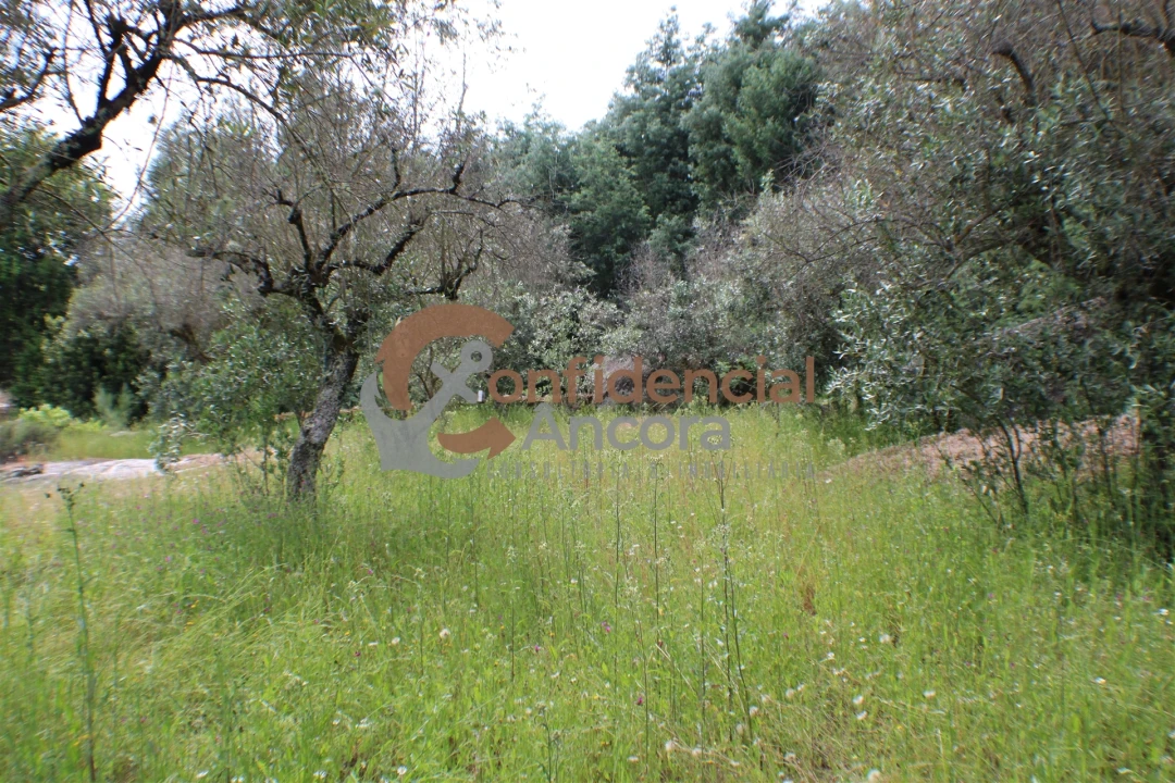 Terreno para Venda em Moimenta da Serra e Vinhó Foto 14