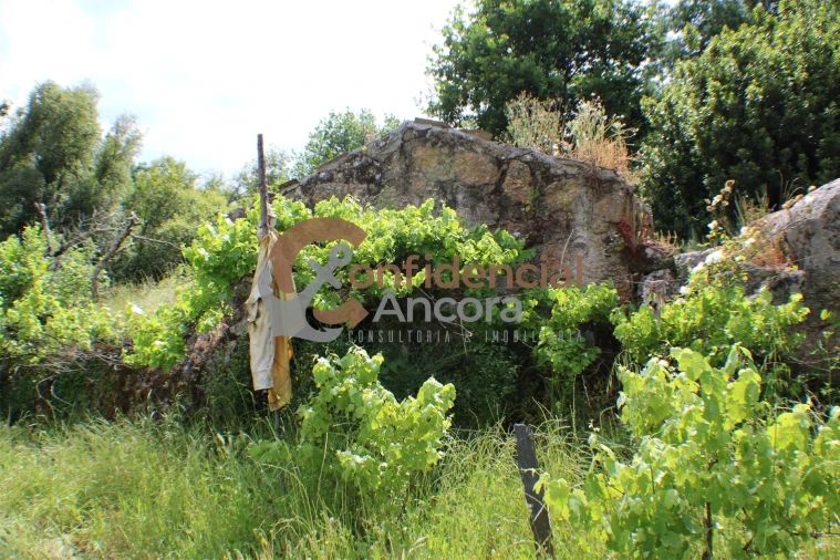Terreno para Venda em Moimenta da Serra e Vinhó Foto 7