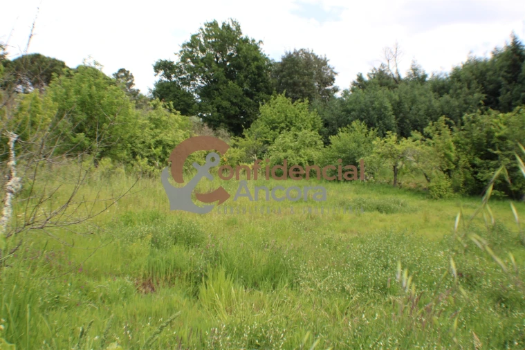 Terreno para Venda em Moimenta da Serra e Vinhó Foto 16