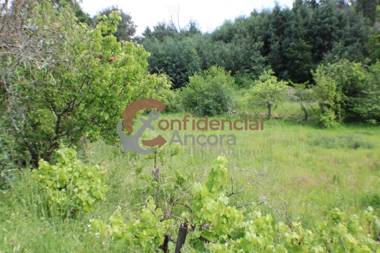 Terreno para Venda em Moimenta da Serra e Vinhó Foto 15