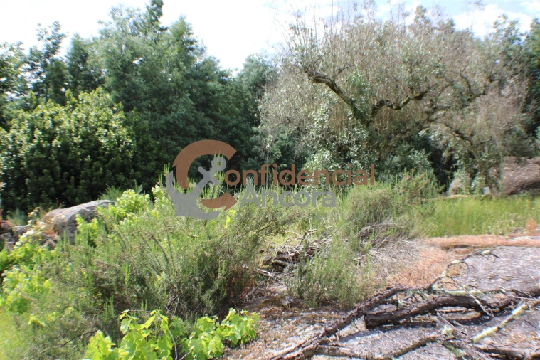 Terreno para Venda em Moimenta da Serra e Vinhó Foto 9