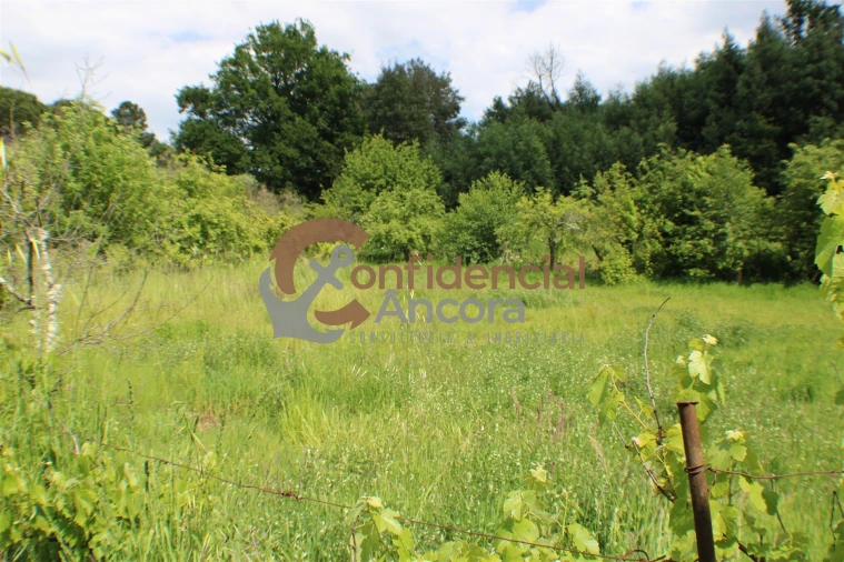 Terreno para Venda em Moimenta da Serra e Vinhó Foto 6