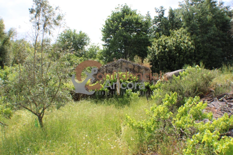 Terreno para Venda em Moimenta da Serra e Vinhó Foto 10
