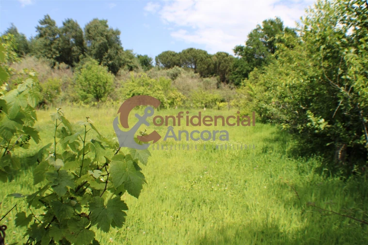 Terreno para Venda em Moimenta da Serra e Vinhó Foto 2