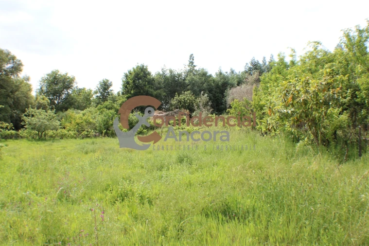 Terreno para Venda em Moimenta da Serra e Vinhó Foto 20